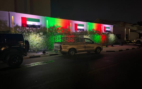 Wall design UAE national day